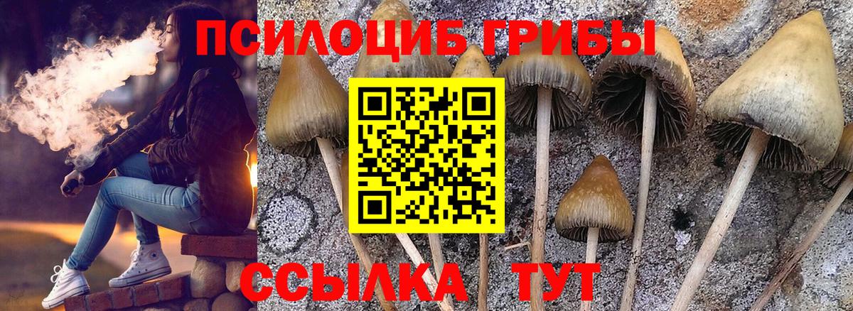ГАШ Можга